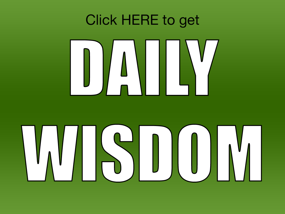 meditation daily wisdom